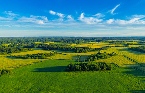Land Services